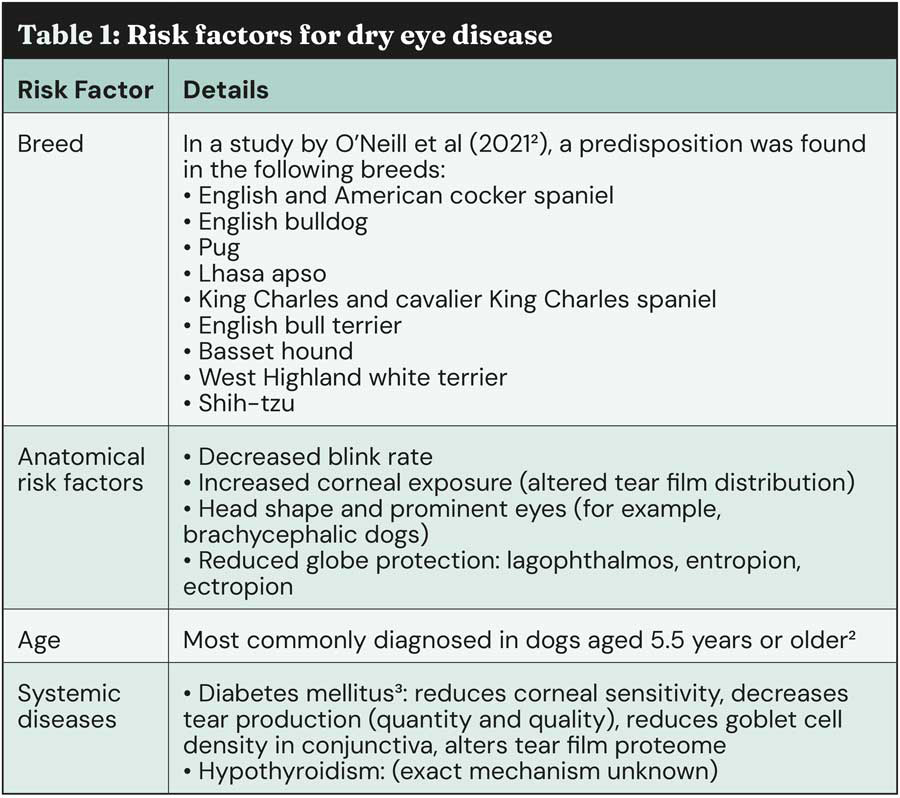 Dry eye article Table 1