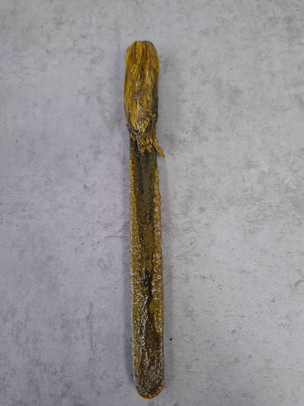 Foreign body following removal (a 17cm blunt-ended popsicle stick).
