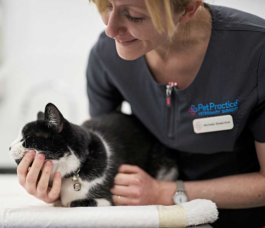 A Pet Practice staff member