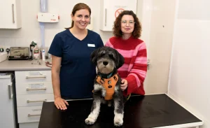 Image shows a dog sitting on a consult table with his owner and a vet stood behind.