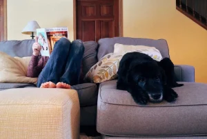 A sad or anxious dog is sat next to a female owner reading a magazine on a lounge sofa