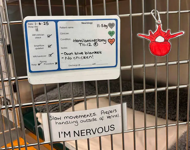 Figure 5. Nurses should ensure kennels are labelled with behaviour notes, while colour-coded tags (green, yellow or red, as pictured) indicate the level of exercise activities that can be performed by the patient.