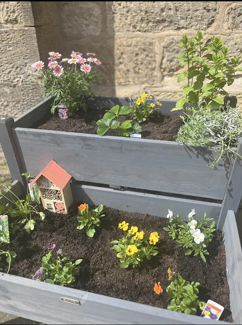 Wooden planter with summery plants and insect house. Image: IVC