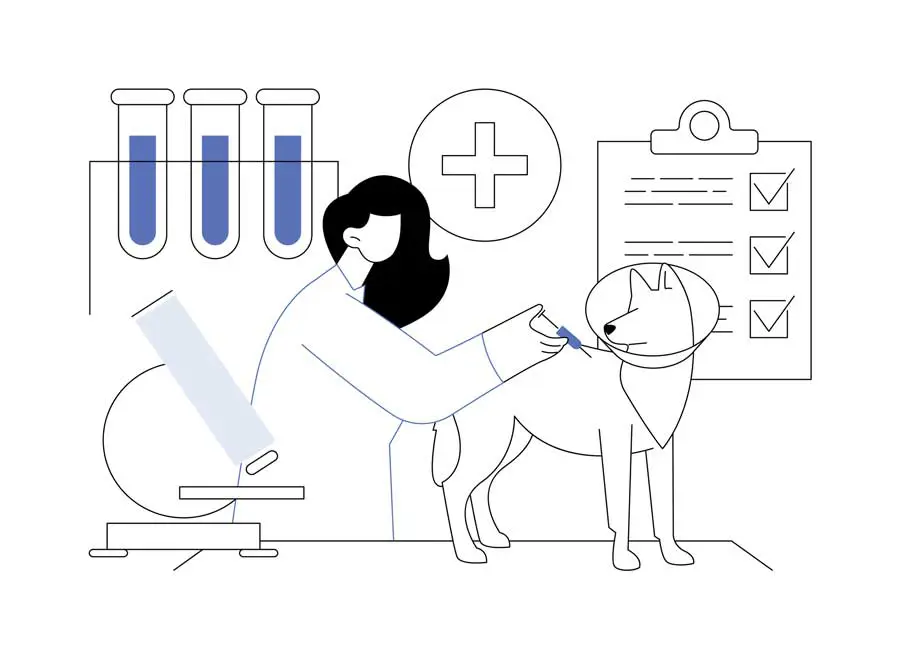 Illustration to show concept of vet clinics and pet health clubs. Image: Visual Generation/ iStock