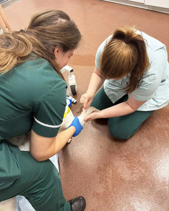 Figure 2. Patient-focused nursing allows for increased nurse autonomy and more chances for “hands-on” nursing.