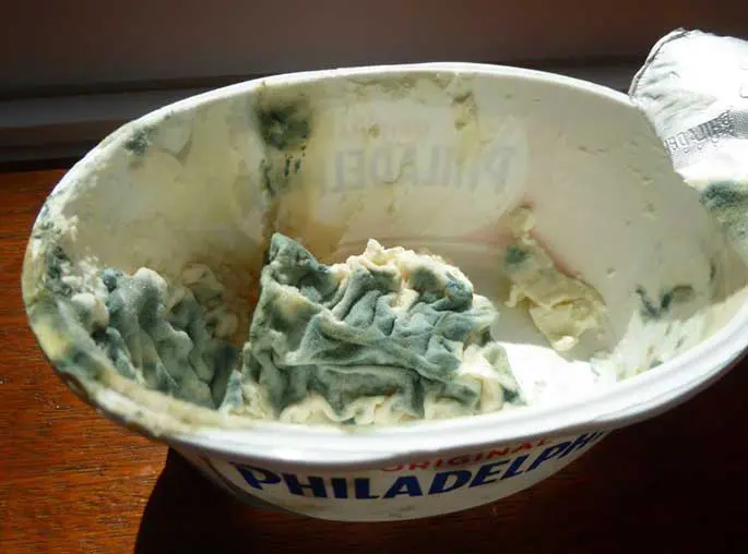 Tremorgenic mycotoxins.