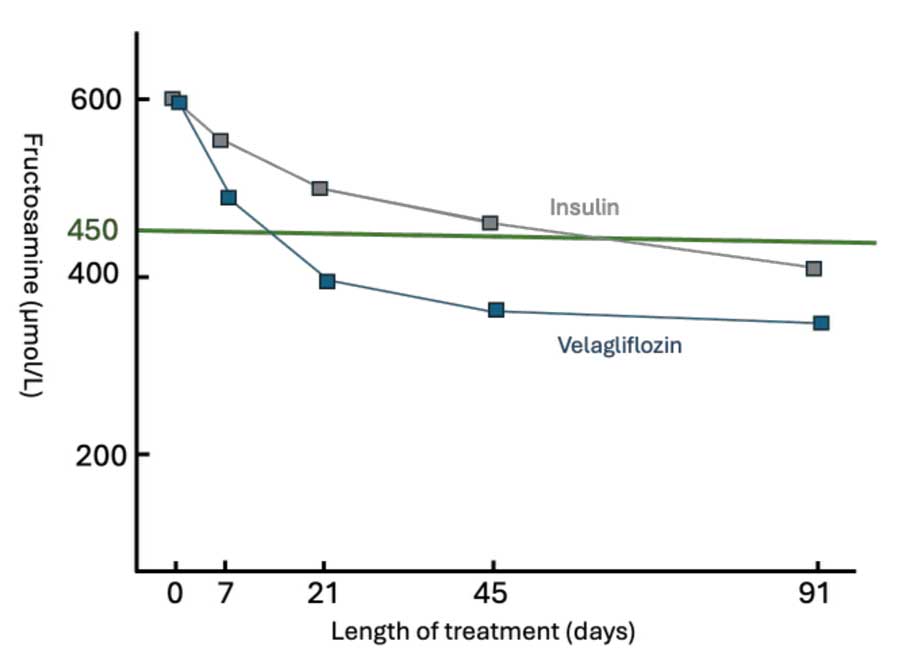 Figure 2. Mean fructosamine over time in velagliflozin and insulin-treated cats (from Niessen et al, 2024).