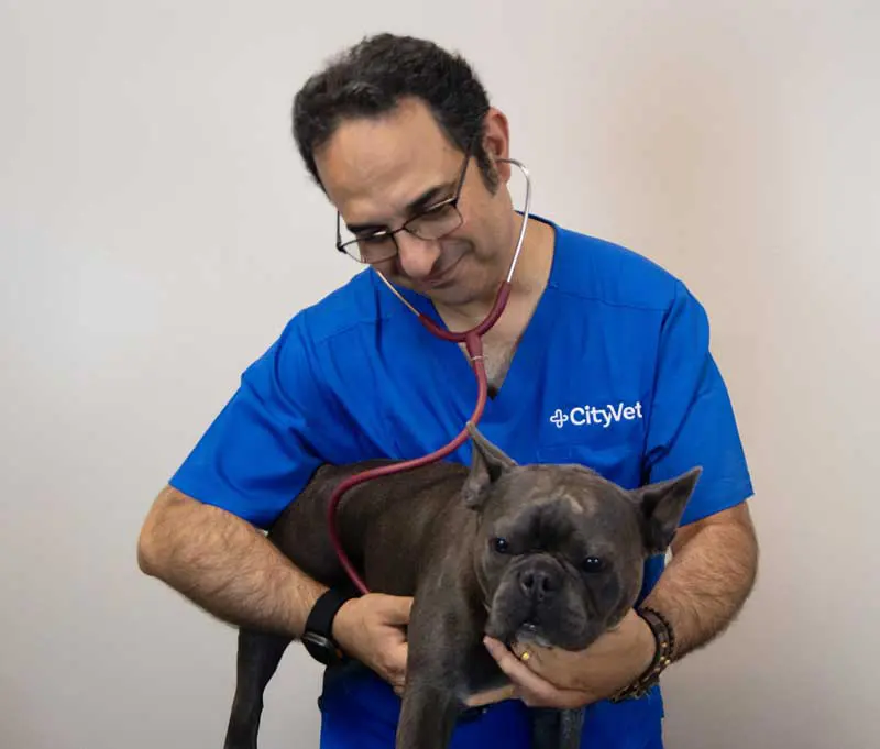 Amir Nazari is heading the new CItyVet practice in Chevy Chase, Maryland.