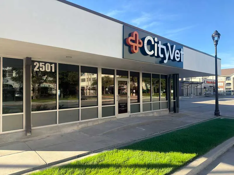 CityVet’s new West 7th practice in Fort Worth, Texas. Image CityVet.