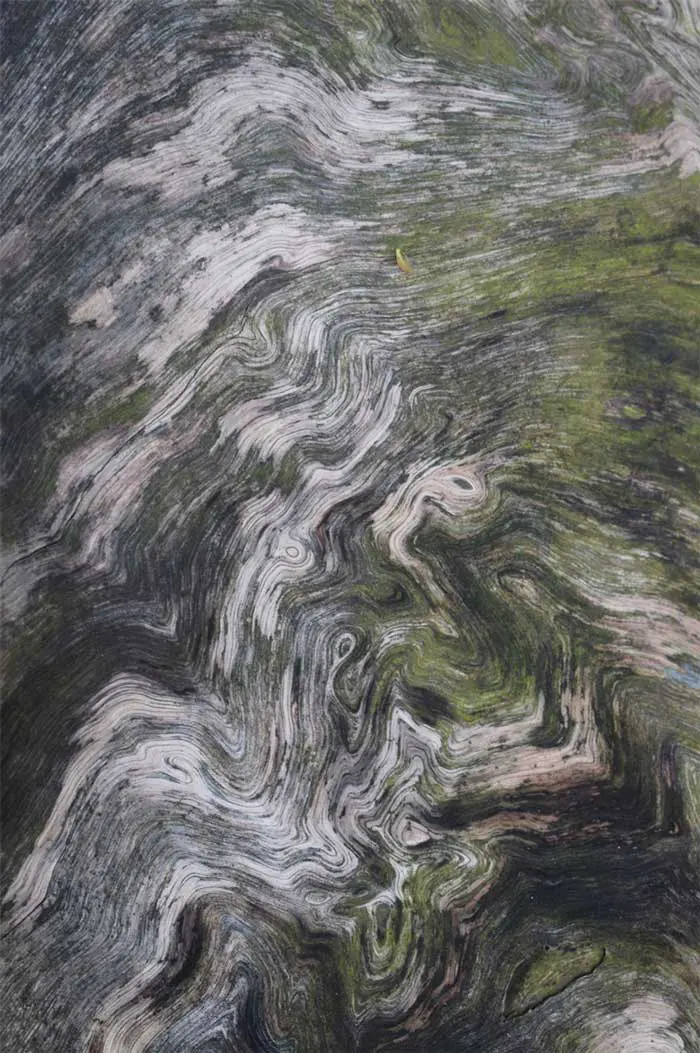 Acid-base disorders may influence electrolyte status and vice versa.