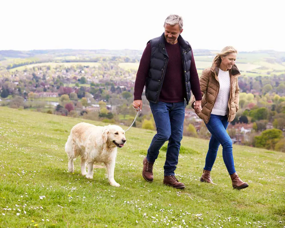 A couple are hand in hand, glancing down at their Labrador dog as they stride along the grass on a hill above a British town. Image: Monkey Business / Adobe Stock