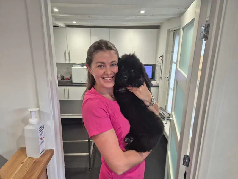 Daria Ponomarenko arrived in the UK with her family in 2025, with the war's front lines approach her Sviy Likar vet clinic.