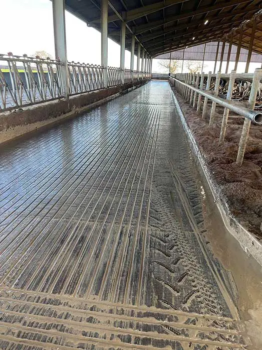 Figure 2. Slippery floors increase the risk of lameness. Grooving is a common way to mitigate this with deep, wide, parallel, square-cut lines recommended in most cases. Image: Kirby Cattle Services.