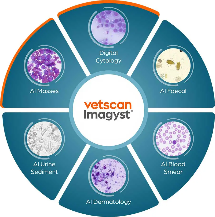 Vetscan Imagsyt AI Masses and DigiCytology Wheel.