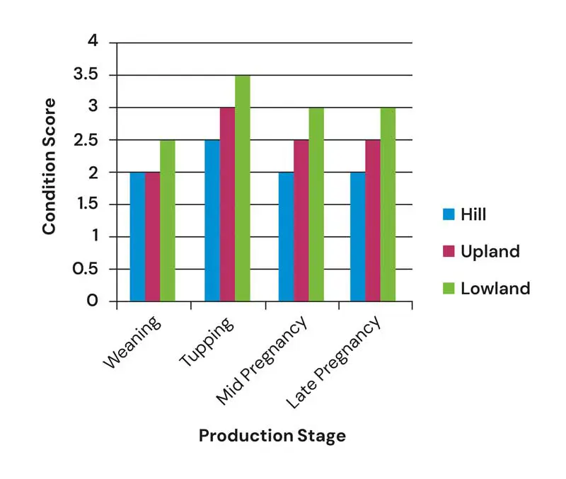 Figure 2. BCS targets by time of year and production stage (Charles, 2025a).