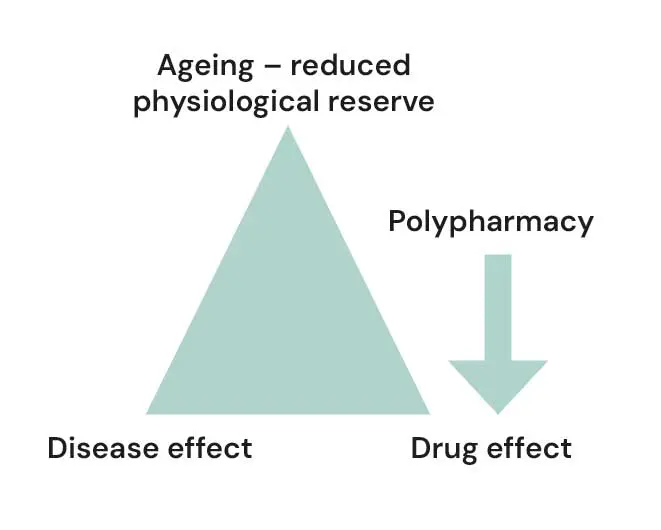 Figure 1. Basic considerations of ageing and therapeutics.