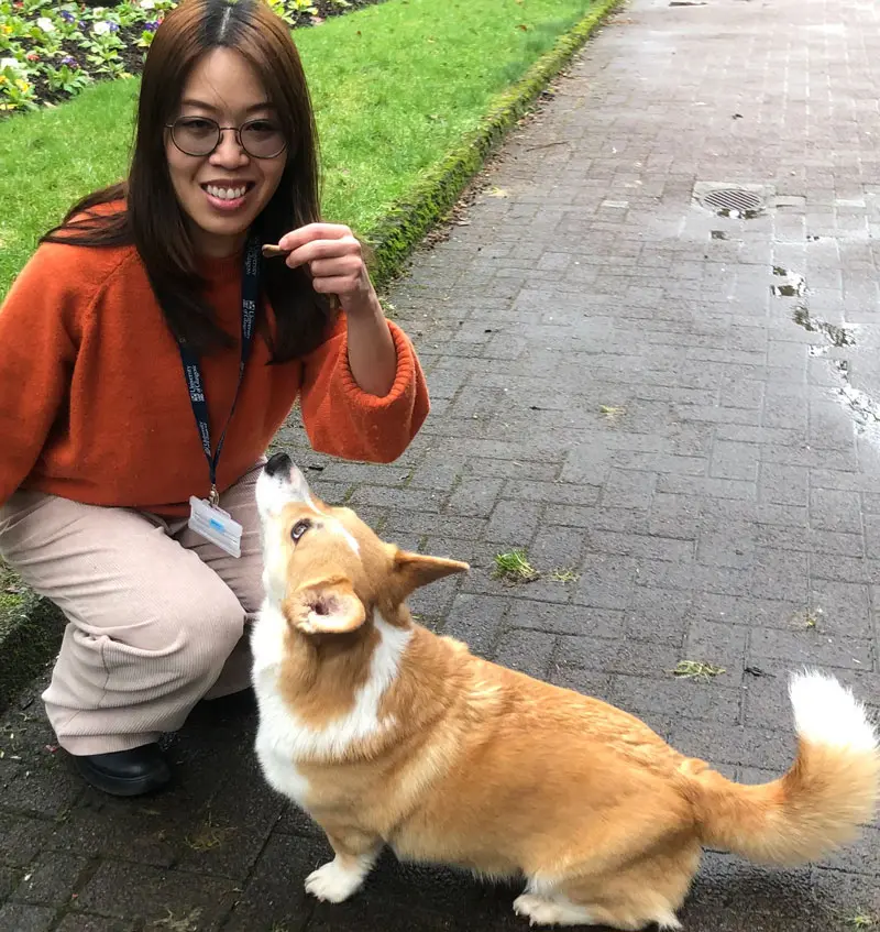 PhD researcher Bunnada Siriporn with Pembroke corgi Archie.