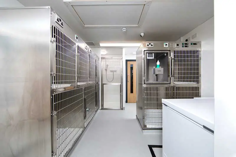 Thoughtfully designed dog ward reducing visual contact between patients. Image: Bob Partridge, Vet Dentist