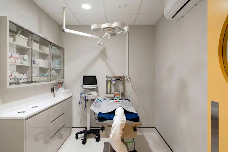 Wall-mounted anaesthesia setup connected to a piped gas outlet, leaving space for a multi-parameter to be easily moved around the patient. Image: Hello Vet, Bushey