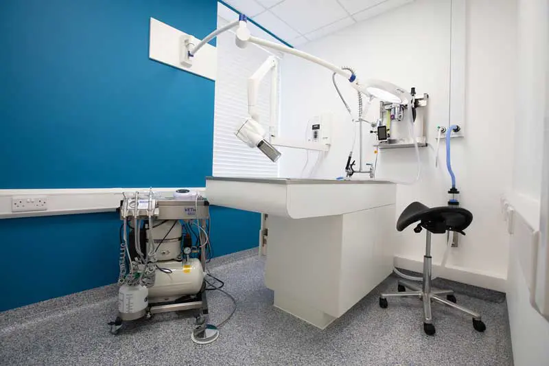 Purpose-built dental suite with a full, equipped procedure set-up and dedicated dental x-ray generator. Image: Pattenden Vet Clinic