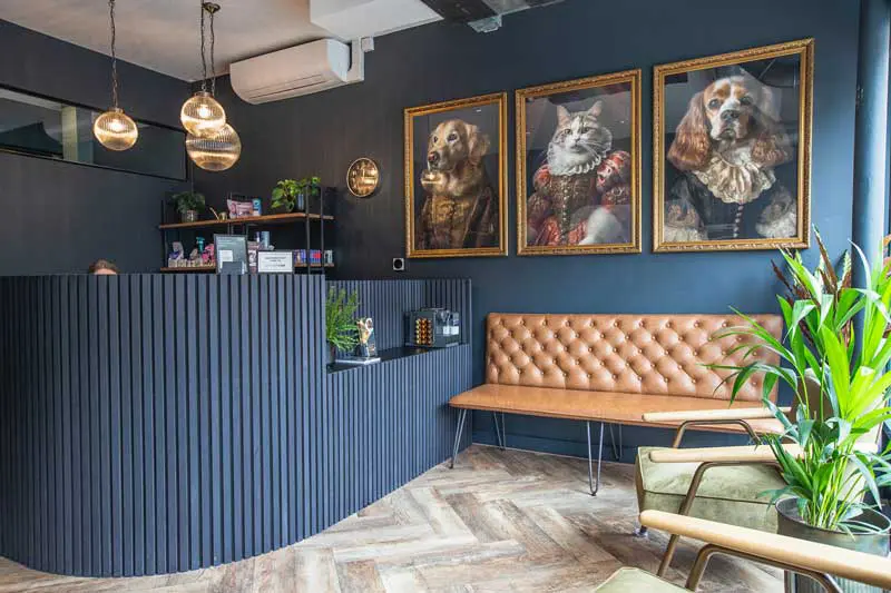 A well-designed reception area incorporating soft colours and textures to create a welcoming, calming atmosphere for clients. Image: Whisker & Woof Veterinary Practice