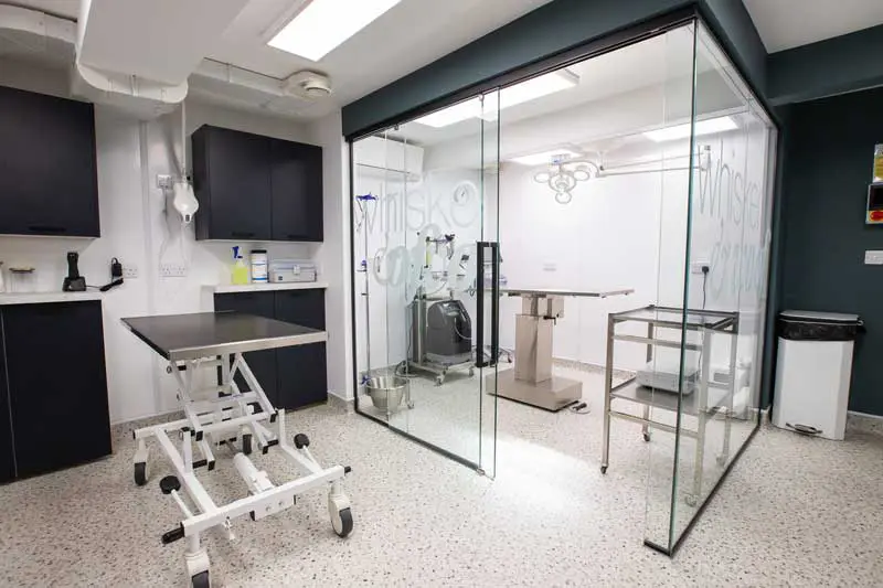 A central prep area leading through to a glass-walled theatre, perfect for visibility. Image: Whisker & Woof Veterinary Practice