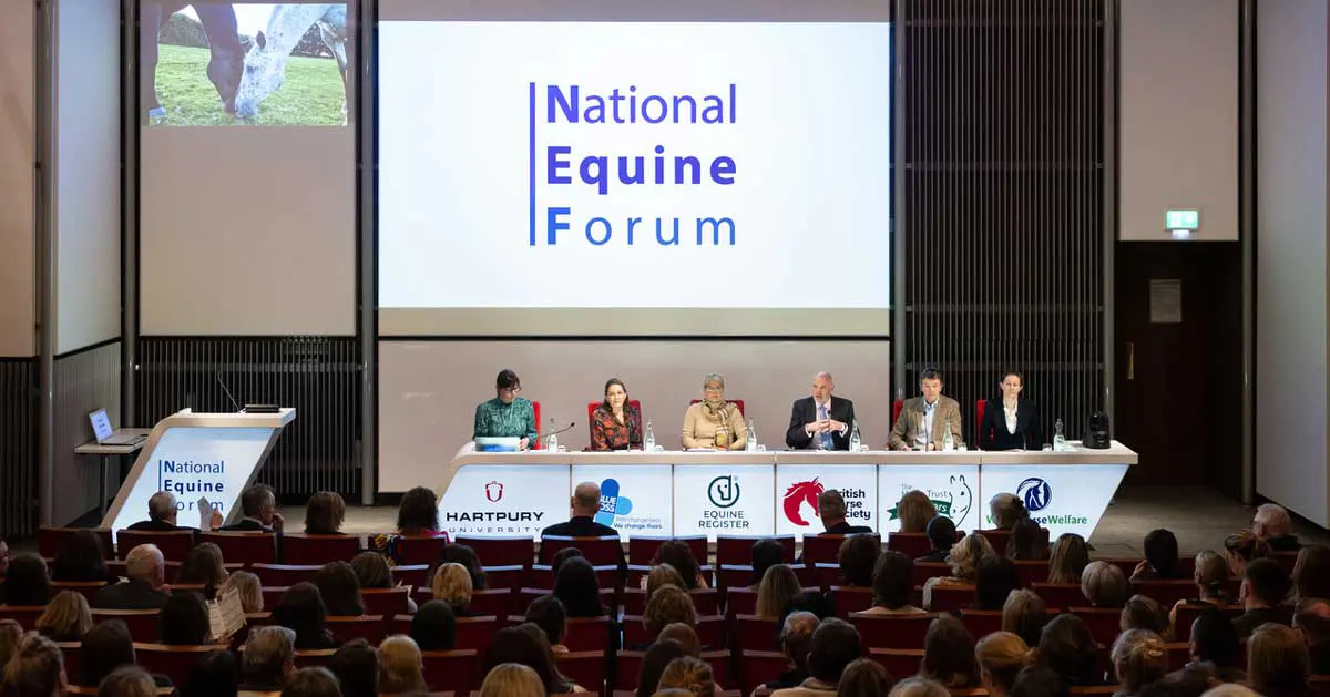 Highlights including the panel from the National Equine Forum 2026. NEF-26-highlights_22-Credit-Shai-Dolev-Photography