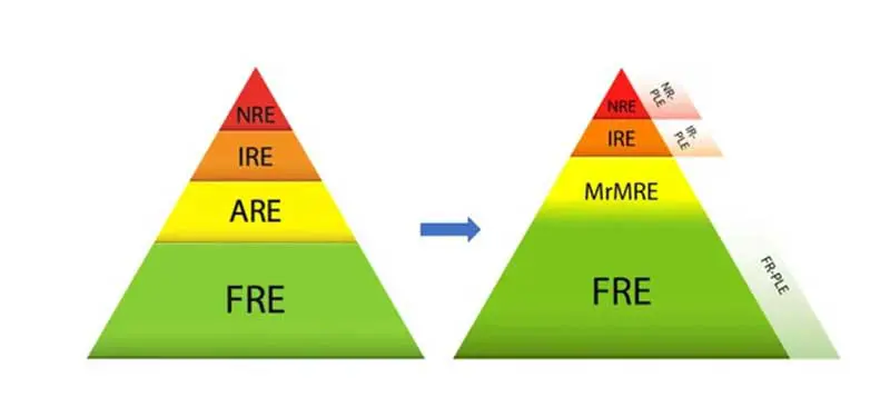 Figure 1. Previous and current classification of chronic inflammatory enteropathies in dogs1.