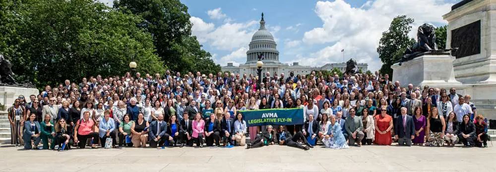 The AVMA's fly-in event, showing vets from across the US in the grounds of the Capitol. Image credit: AVMA