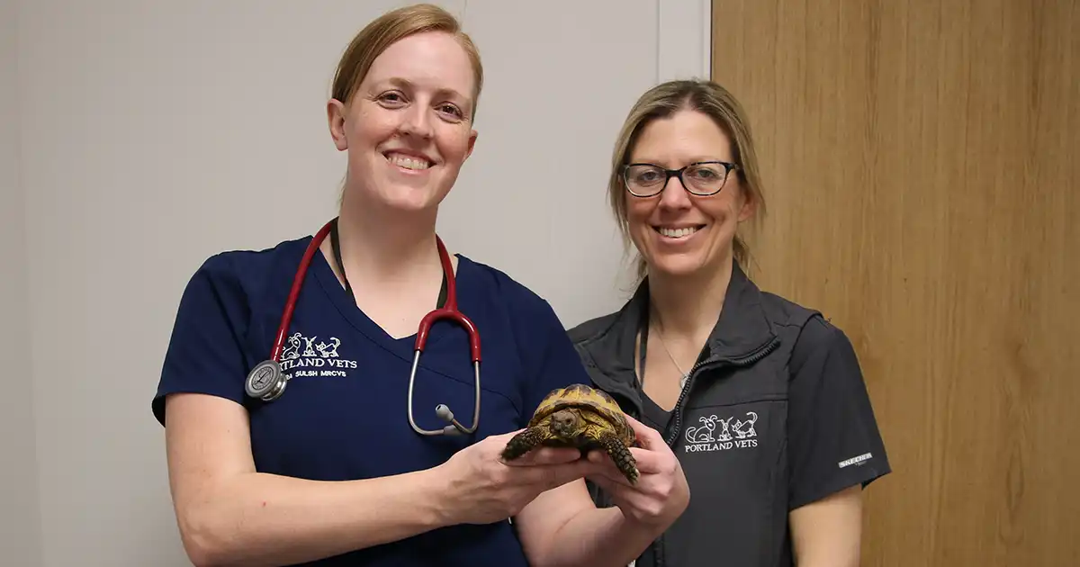 Laura Sulsh (left) and Sarah Pearce, of Portland Vets.