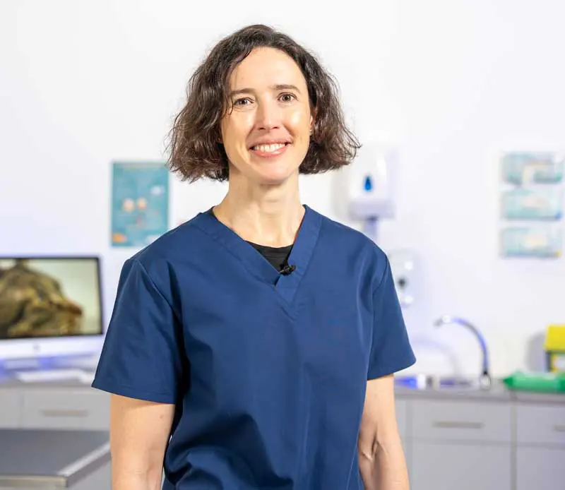 RVC professor of small animal internal medicine and nephrology Rosanne Jepson features in the eight hypertension videos.