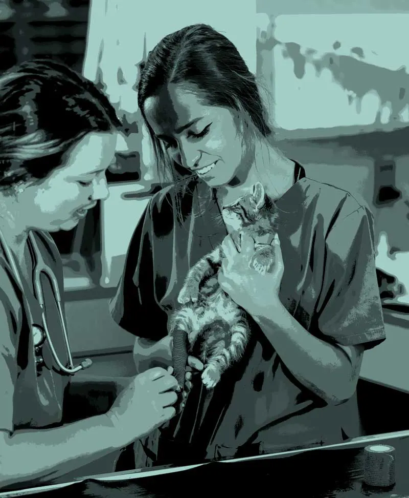 Nurses with a pet. Image: kali9 / iStock