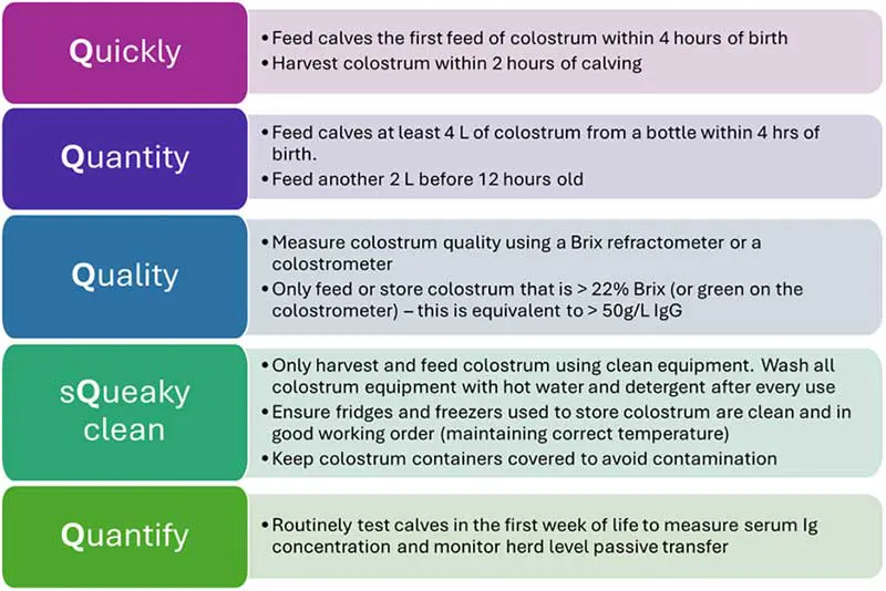Figure 2. The five Qs of colostrum management.