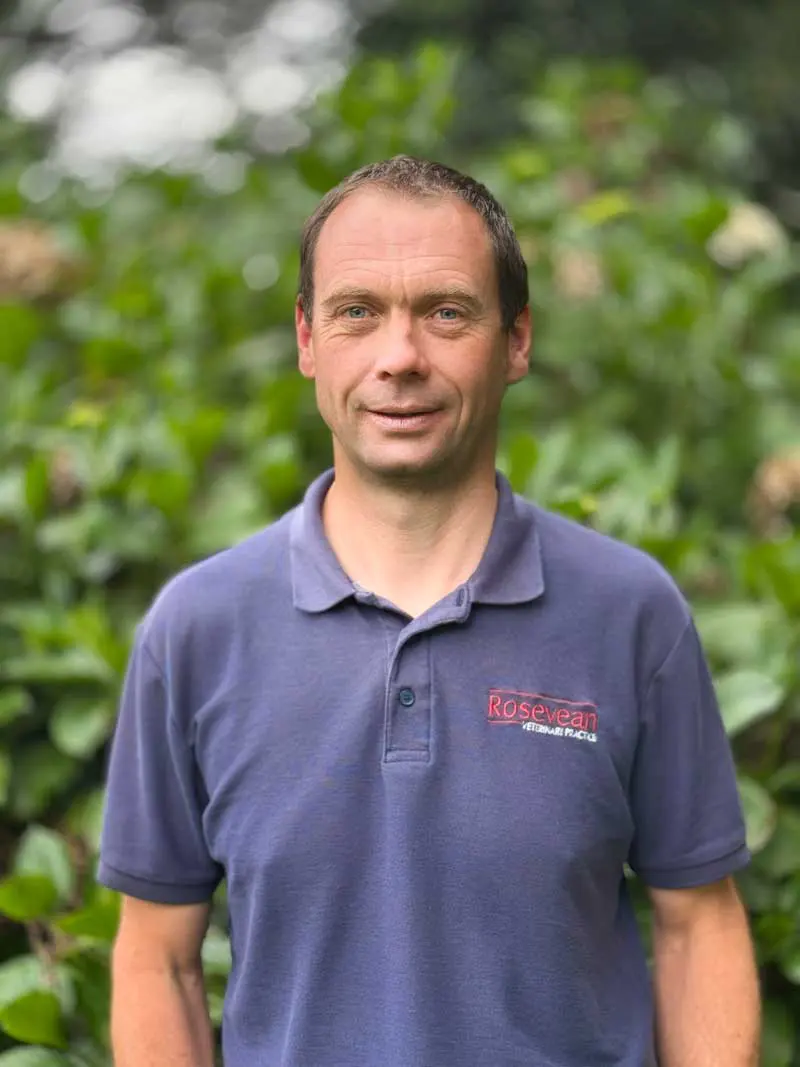 Matthew Berriman, senior clinical director at Rosevean Veterinary Practice.