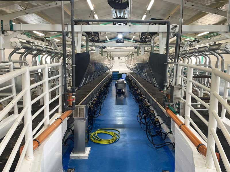 Inside a dairy farm in Qatar