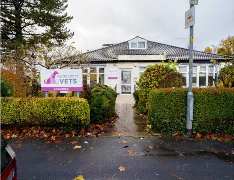 Handforth. Image: Woodcroft Vets