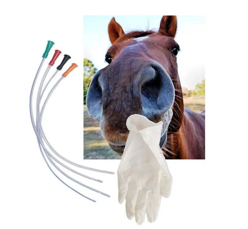 Figure 2. Equipment needed for nasopharyngeal lavage (50cm plastic tube, receptacle, sterile saline).