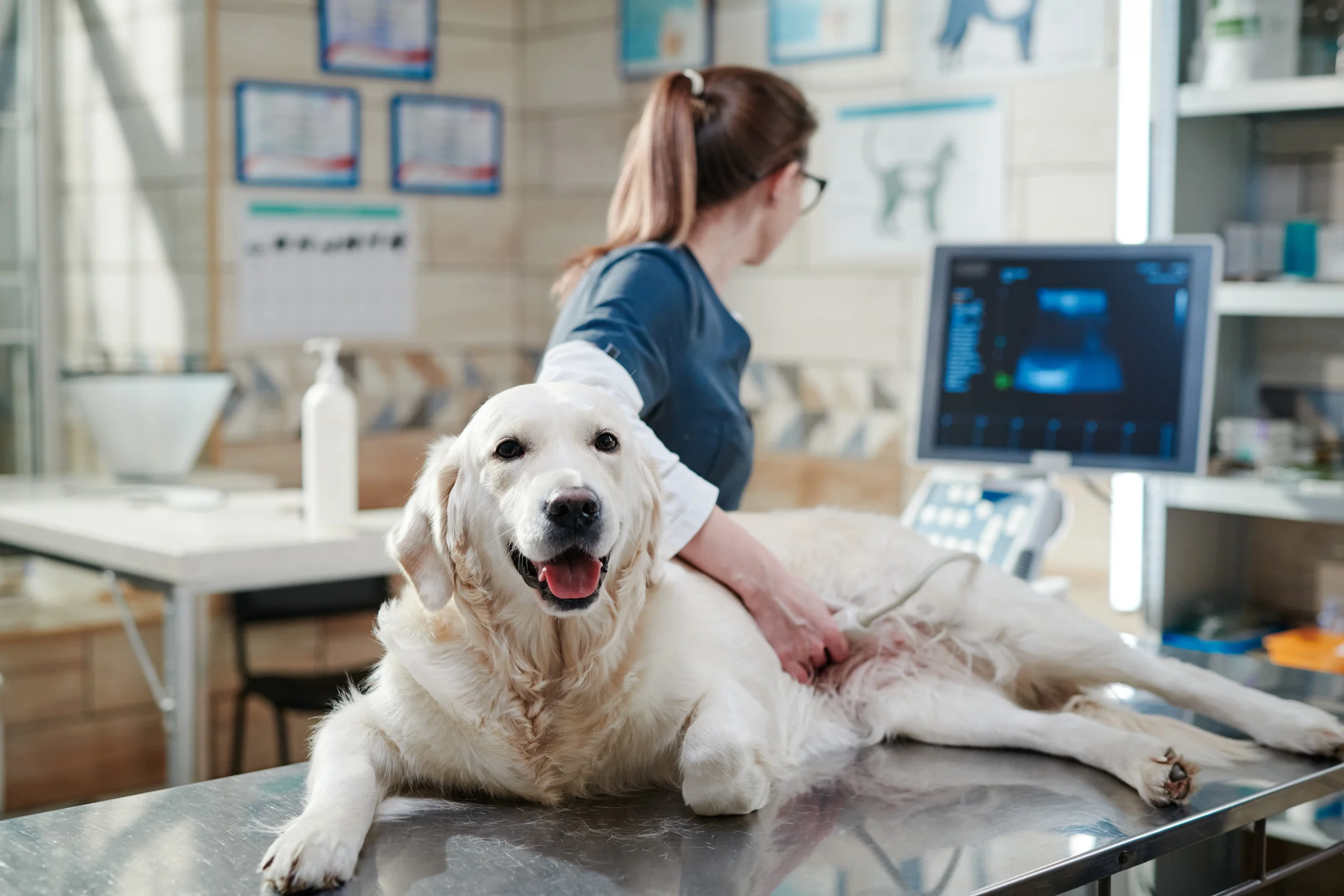 Image: AnnaStills / Adobe Stock