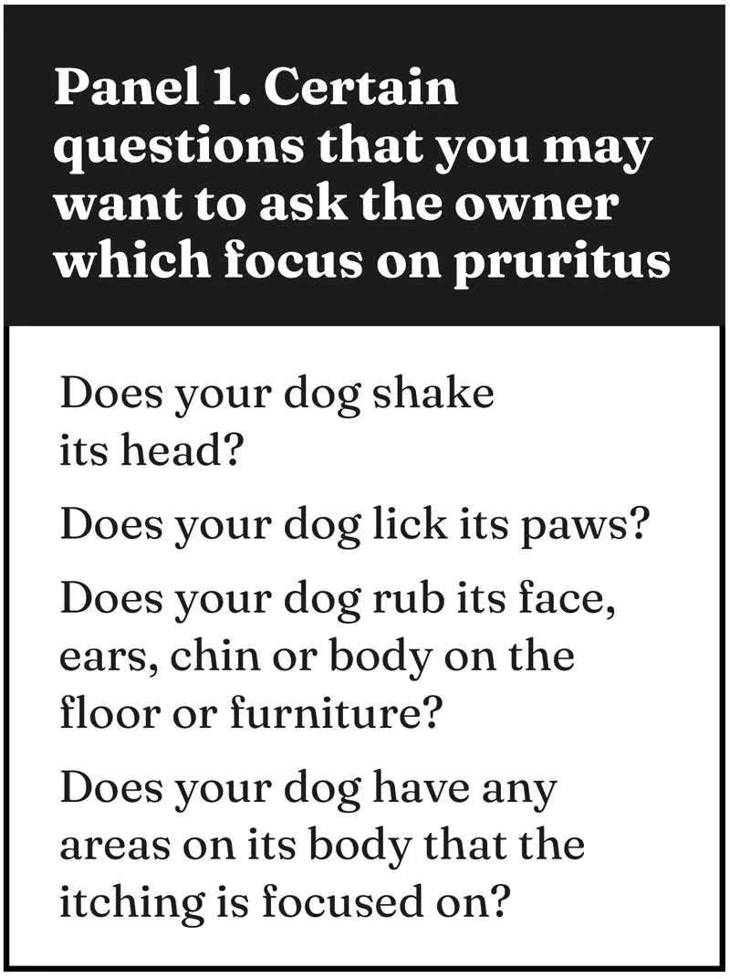 Canine pruritus: diagnosis and management
