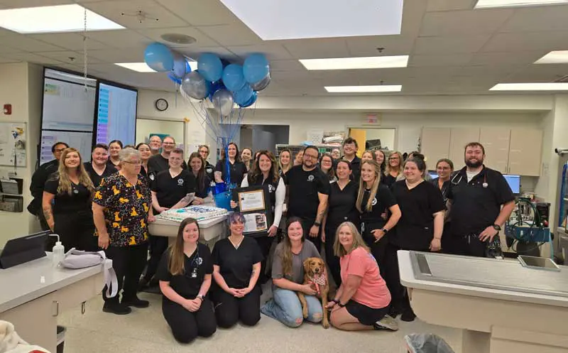The award-winning team at Metropolitan Veterinary Specialists and Emergency Service (MVSES) in Louisville, Kentucky, pictured with Dolly, whose treatment led to the nomination.